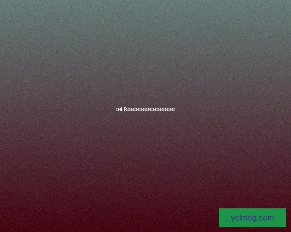 基于LR输出手法优化的图像处理技术研究与应用探索